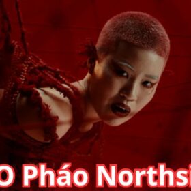 CEO Pháo Northside: Người Đứng Sau Thành Công Của BET88